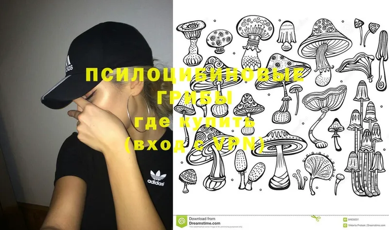 Псилоцибиновые грибы Psilocybine cubensis  Верхоянск 